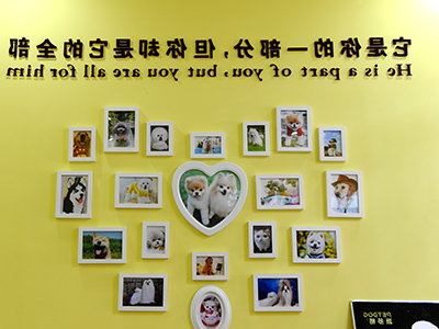 宠物店店内图42.jpg