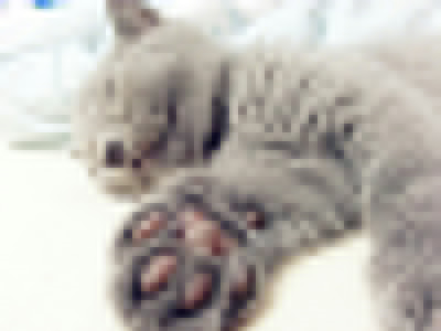 roudian3.jpg