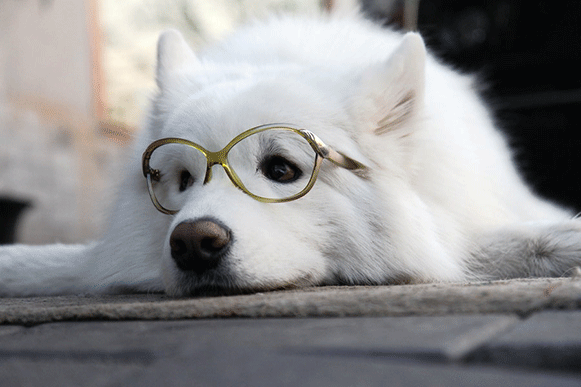 1501580300221520.gif fhjhio51.gif