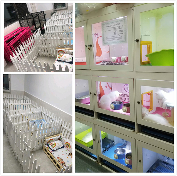 1535534325431506.jpg 未命名_meitu_5.jpg