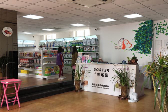在南京开宠物店创业怎么样 在南京开宠物店创业怎么样